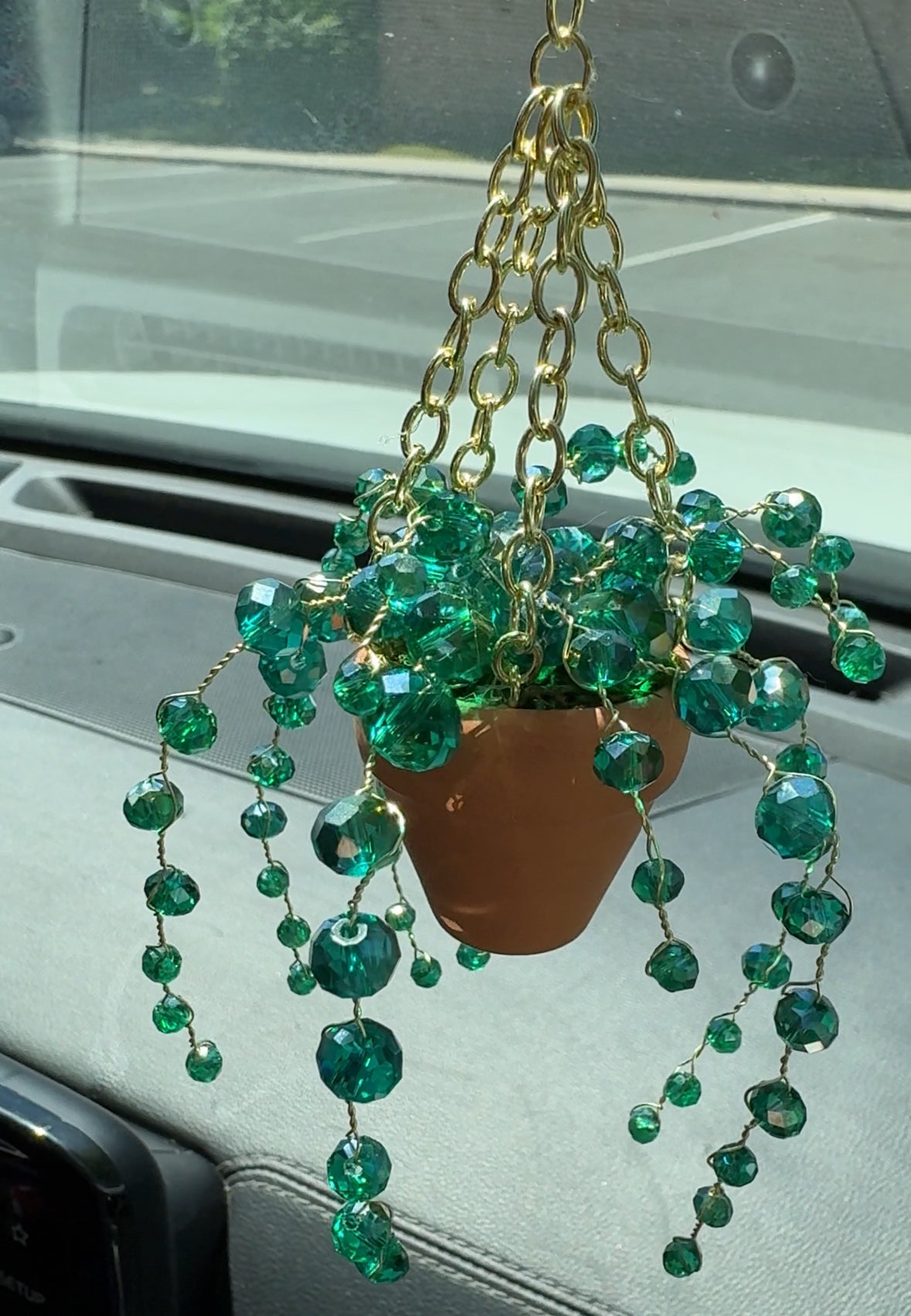 Mini Suncatcher Plant