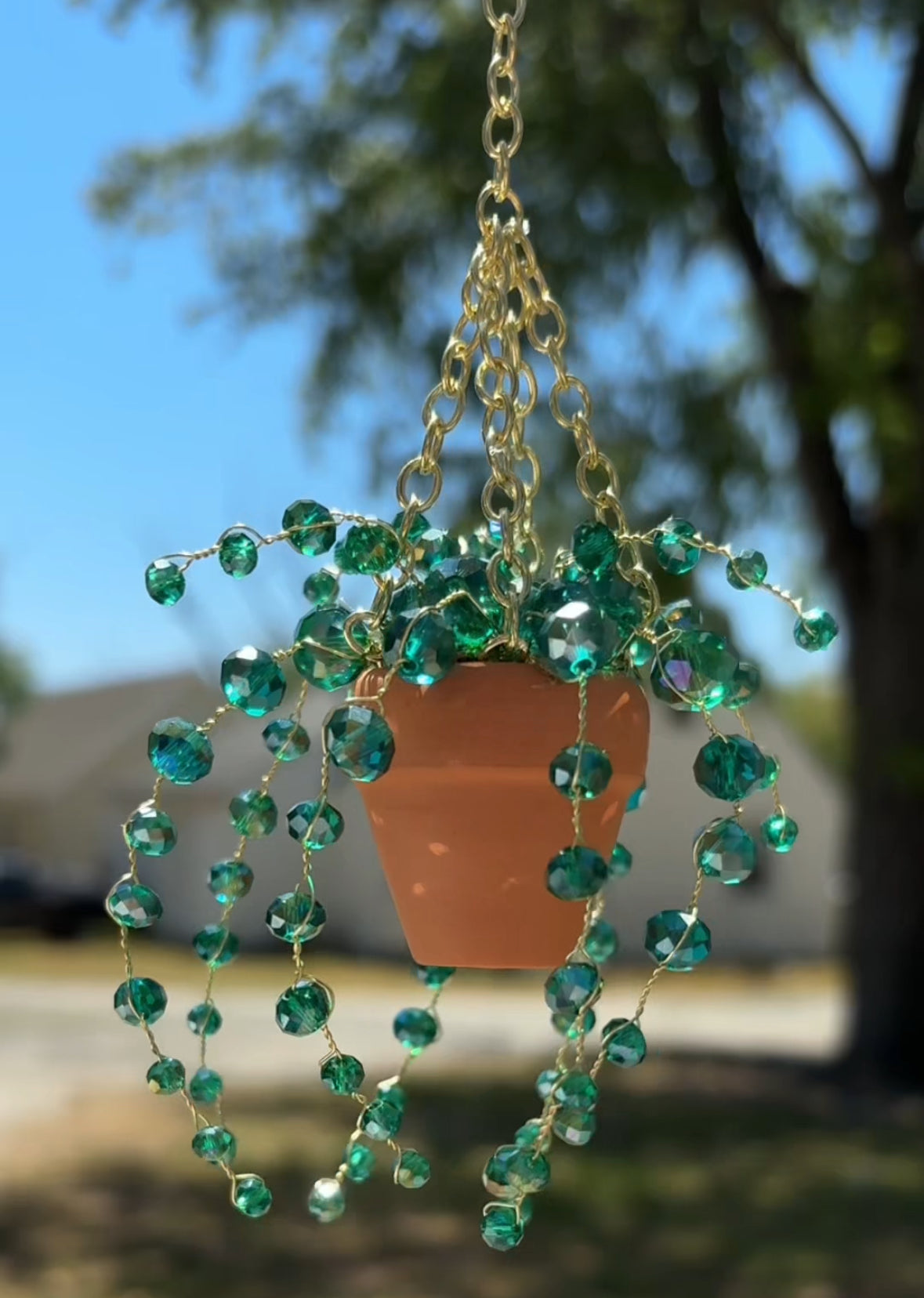 Mini Suncatcher Plant